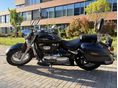 SUZUKI VL 800 (INTRUDER) 2006/7 - 2