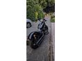HARLEY-DAVIDSON SOFTAIL 2014/7 - 3