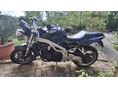 TRIUMPH SPEED TRIPLE 2004/9 - 5
