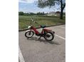 BABETTA 207 