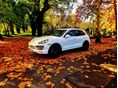 PORSCHE CAYENNE 2013/12 - 2