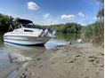 DRAGO BOATS 550