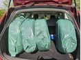 FORD FOCUS 2007/2 - 2