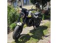 BENELLI LEONCINO 250 