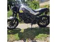 BENELLI LEONCINO 250 2020 - 2