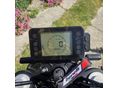 BENELLI LEONCINO 250 2020 - 3