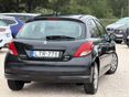 PEUGEOT 207 2010/11 - 5