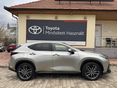 LEXUS NX 2025/7 - 2