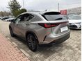 LEXUS NX 2025/7 - 4