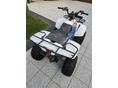 POLARIS EGYÉB 2010 - 4