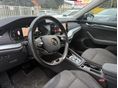 SKODA OCTAVIA 2022/8 - 8