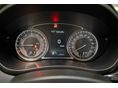SUZUKI S-CROSS 2022/3 - 14