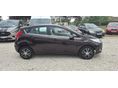 FORD FIESTA 2009/1 - 4