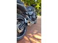 HONDA CB 600 F (HORNET) 2011/6 - 4