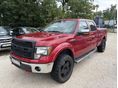 FORD F 150 2010/9 - 5