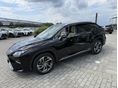 LEXUS RX 2018/5 - 4