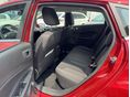 FORD FIESTA 2017/6 - 12