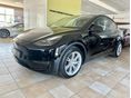 TESLA MODEL Y Long Range AWD (Automata) DUAL MOTOR // 19 ALU