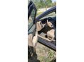 VOLVO V70 2007/11 - 7