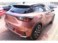 LEXUS LBX 2024/9 - 8