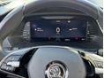 SKODA OCTAVIA 2022/9 - 23