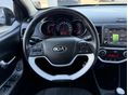 KIA PICANTO 2017/1 - 15