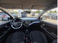 KIA PICANTO 2017/1 - 13