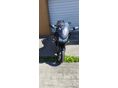 KAWASAKI ER-6F 2007/5 - 3