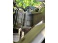 GAS GAS MC 125 2023/10 - 4