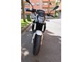 BENELLI BN 125 2021 - 3