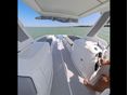 NEXT BOAT 2023/6 - 4