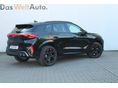 CUPRA TERRAMAR 2026/4 - 4