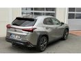 LEXUS UX 2024/3 - 2