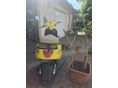 ZNEN CRUISE 2021/1 - 7