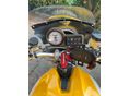 DUCATI MONSTER 600 1994/6 - 5