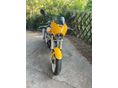 DUCATI MONSTER 600 1994/6 - 6