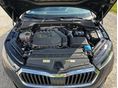 SKODA OCTAVIA 2023/4 - 12