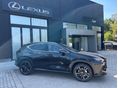 LEXUS NX 2025/10 - 2