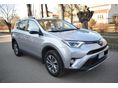TOYOTA RAV 4 2019/1 - 2
