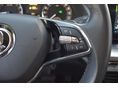 SKODA OCTAVIA 2022/1 - 13