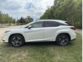 LEXUS RX 2016/10 - 6