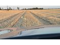 BMW 530 2018/1 - 8