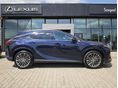 LEXUS RX 2025/2 - 3