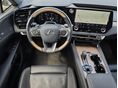 LEXUS RX 2025/2 - 7