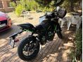 KAWASAKI Z 650 2023/6 - 4