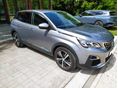 PEUGEOT 3008 2018/1 - 4