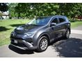 TOYOTA RAV 4 2019 - 1