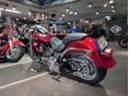 HARLEY-DAVIDSON FAT BOY 2008/2 - 9