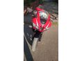 HONDA CBR 600 RR 2009/6 - 4