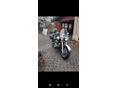 SUZUKI VL 800 (INTRUDER) 2001 - 6
